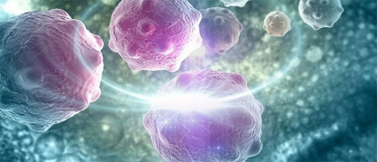 靶向活性肽成分可自行修復陰莖細胞
